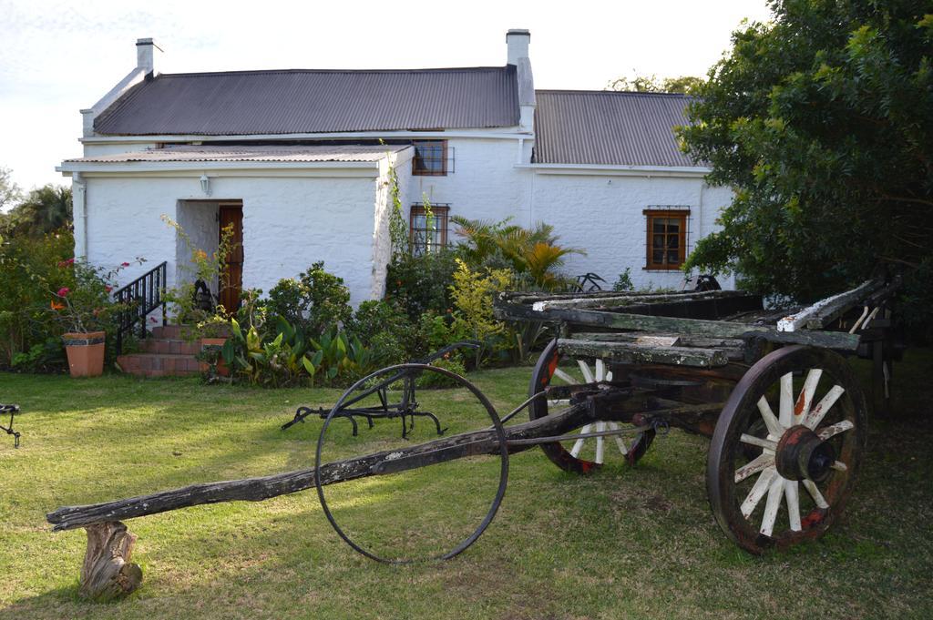 Morley House Hotell Bathurst Exteriör bild